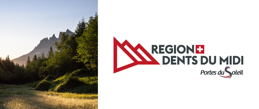 RÉGION DENTS DU MIDI