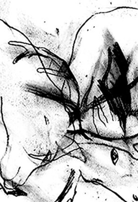 Le Cocon & la ménagerie graphique
