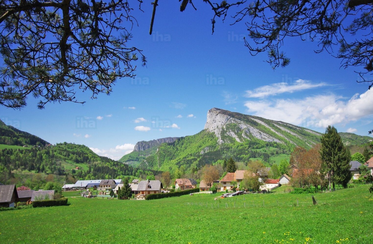 EntremontleVieux à ENTREMONT LE VIEUX 73670