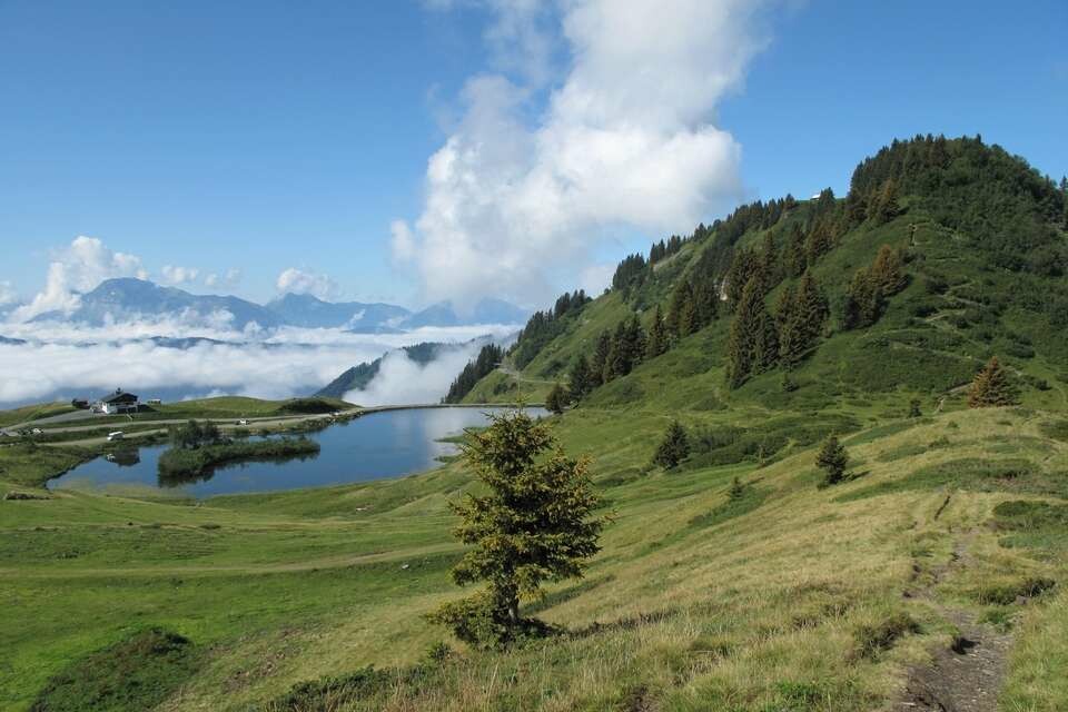 Col de Joux plane à SAMOENS 74340