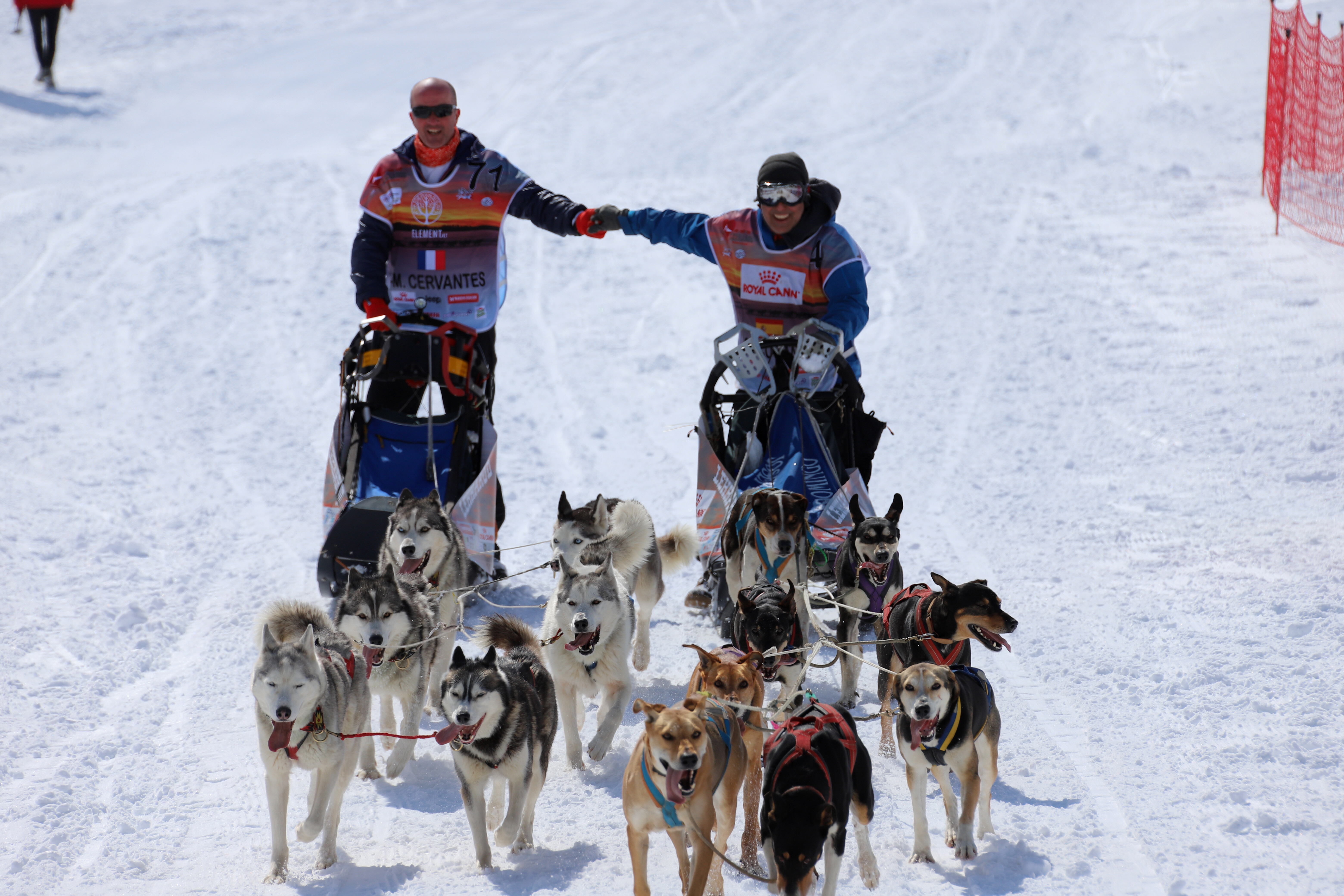 La Lekkarod course de traîneaux Fond Chiens de Traineaux 18